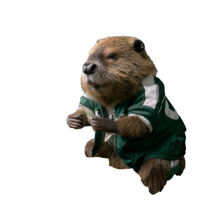 Gambling Beaver Vinyl Car Decal Sticker – Waterproof & UV-Resistant 8"