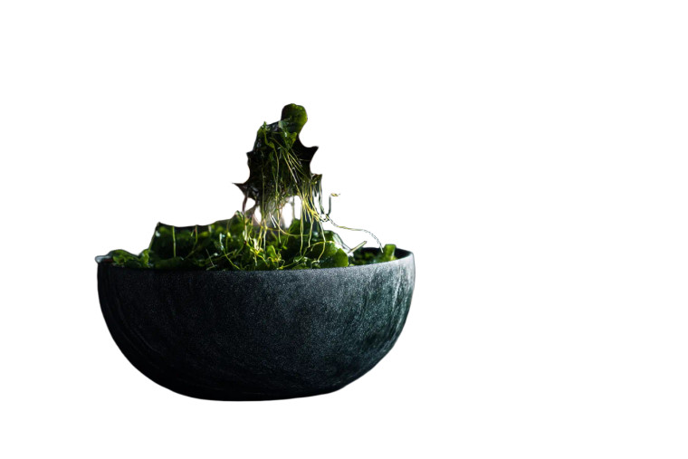 Chef Preparing Ingredients Vinyl Car Decal Sticker – Waterproof & UV-Resistant 8"