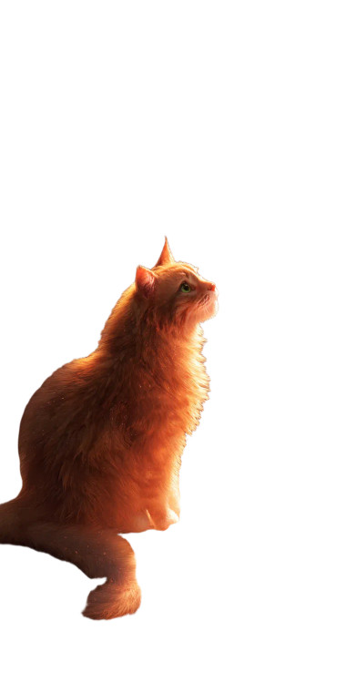 Cozy Kitchen Cat Vinyl Car Decal Sticker – Waterproof & UV-Resistant 8"