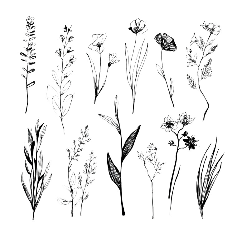 Wildflowers And Herbs Vinyl Car Decal Sticker – Waterproof & UV-Resistant 8"