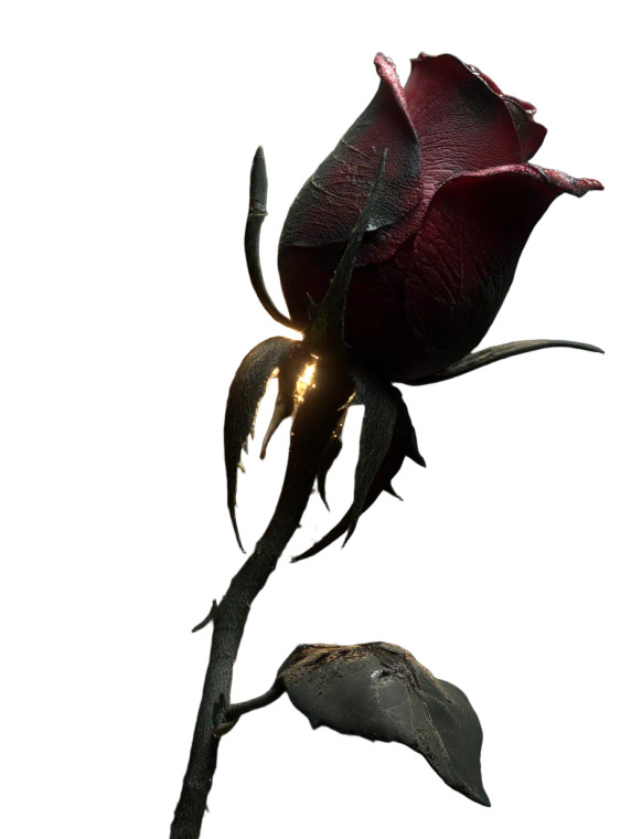 Red Rose In Concrete Vinyl Car Decal Sticker – Waterproof & UV-Resistant 8"