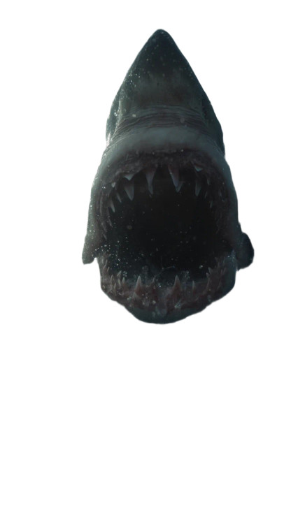 Megalodon Attack Vinyl Car Decal Sticker – Waterproof & UV-Resistant 8"