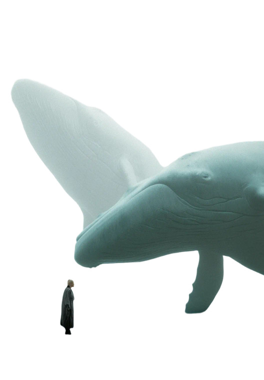 Giant Space Whales Vinyl Car Decal Sticker – Waterproof & UV-Resistant 8"