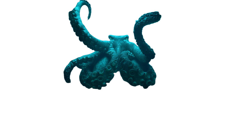 Cthulhu Octopus Temple Vinyl Car Decal Sticker – Waterproof & UV-Resistant 8"