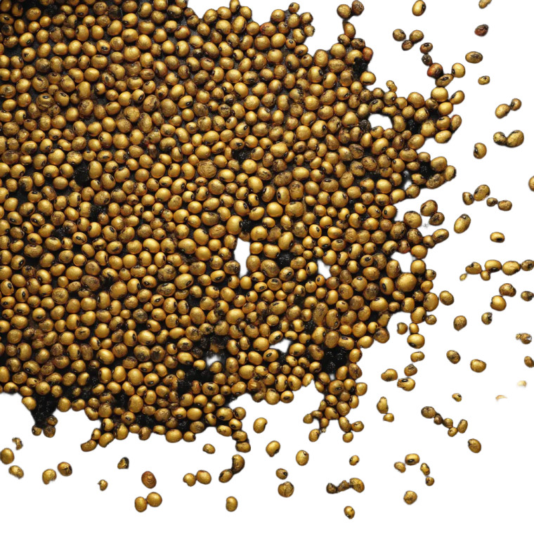 Golden Beans Vinyl Car Decal Sticker – Waterproof & UV-Resistant 8"