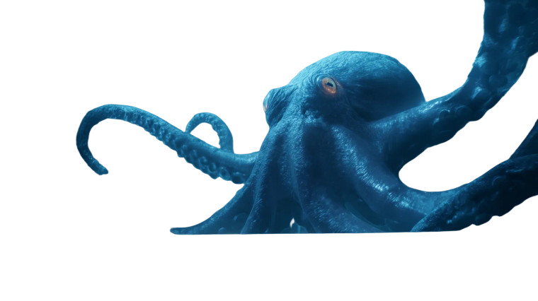 Giant Squid Attack Vinyl Car Decal Sticker – Waterproof & UV-Resistant 8"