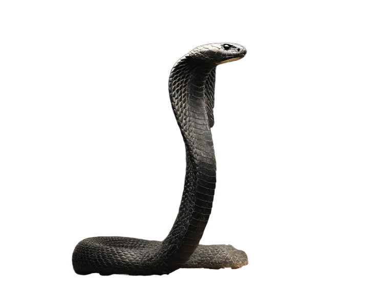 King Cobra Strike Vinyl Car Decal Sticker – Waterproof & UV-Resistant 8"