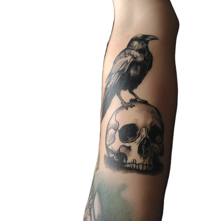 Crow On Skull Tattoo Vinyl Car Decal Sticker – Waterproof & UV-Resistant 8"