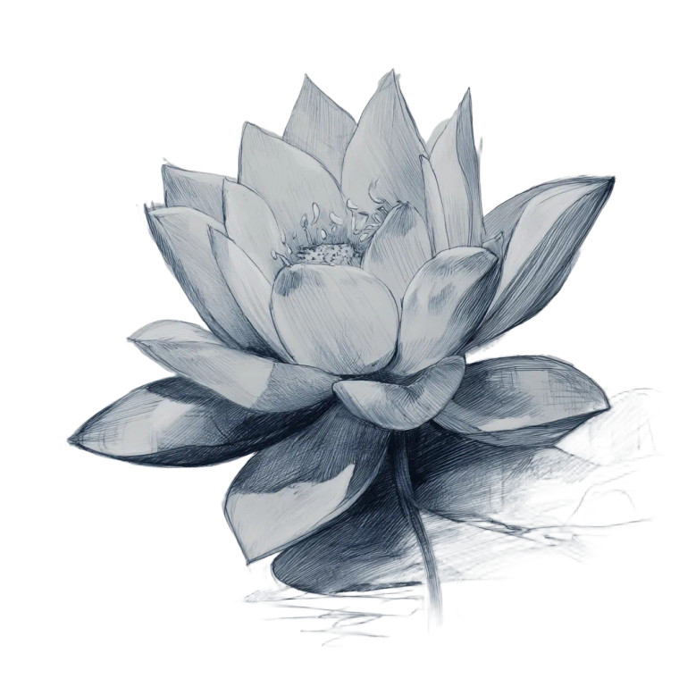 Lotus Sketch Vinyl Car Decal Sticker – Waterproof & UV-Resistant 8"