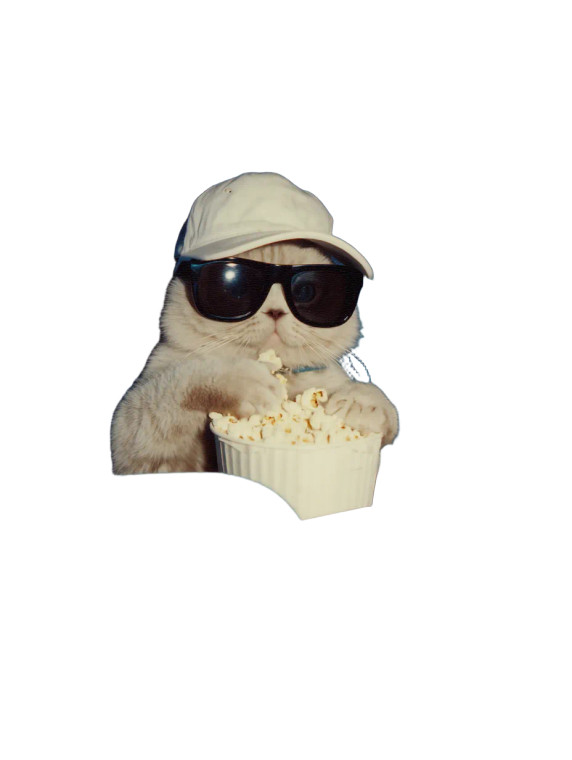 Retro Scottish Fold Vinyl Car Decal Sticker – Waterproof & UV-Resistant 8"