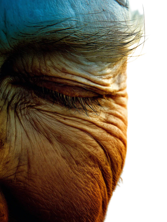 Aged Human Eye Vinyl Car Decal Sticker – Waterproof & UV-Resistant 8"