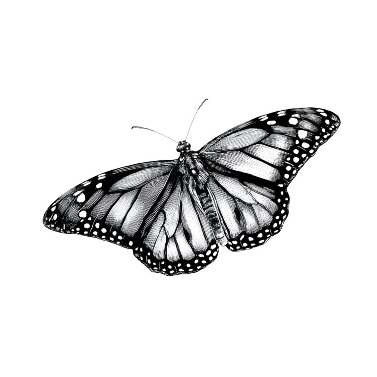 Monarch Butterfly Art Vinyl Car Decal Sticker – Waterproof & UV-Resistant 8"