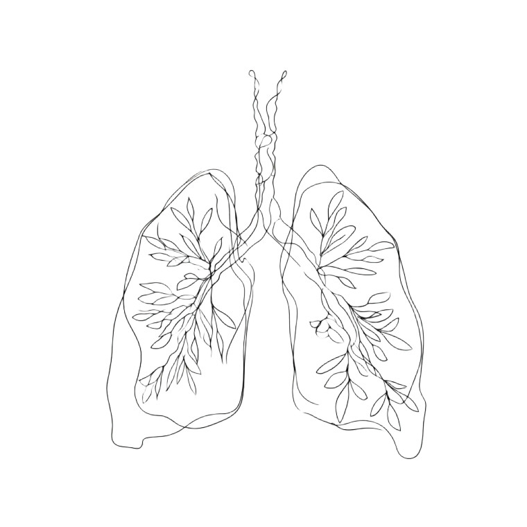 Minimalist Lungs Drawing Vinyl Car Decal Sticker – Waterproof & UV-Resistant 8"