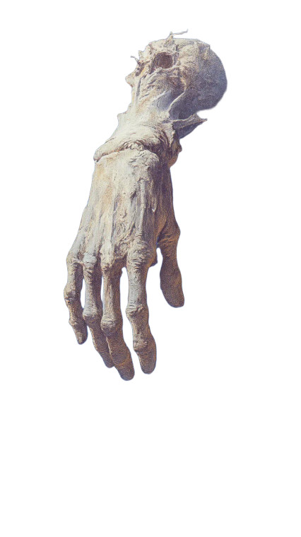 Floating Decrepit Hand Vinyl Car Decal Sticker – Waterproof & UV-Resistant 8"