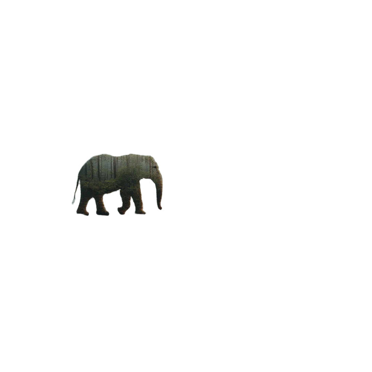 Holographic Elephant Vinyl Car Decal Sticker – Waterproof & UV-Resistant 8"