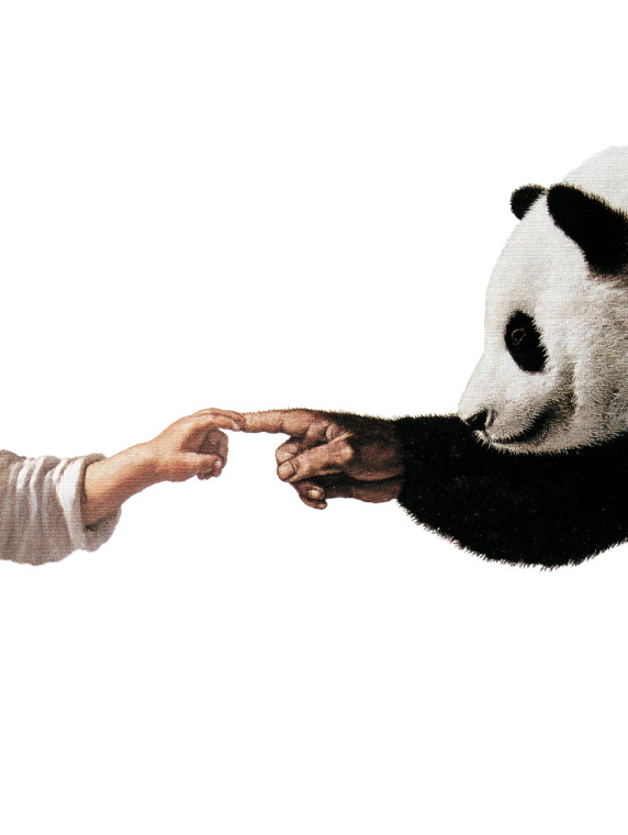 Panda Creation Of Boy Vinyl Car Decal Sticker – Waterproof & UV-Resistant 8"