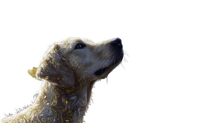 Divine Majestic Dog Vinyl Car Decal Sticker – Waterproof & UV-Resistant 8"