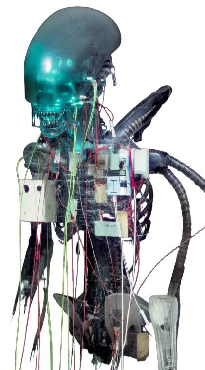 Xenomorph Anatomy Vinyl Car Decal Sticker – Waterproof & UV-Resistant 8"