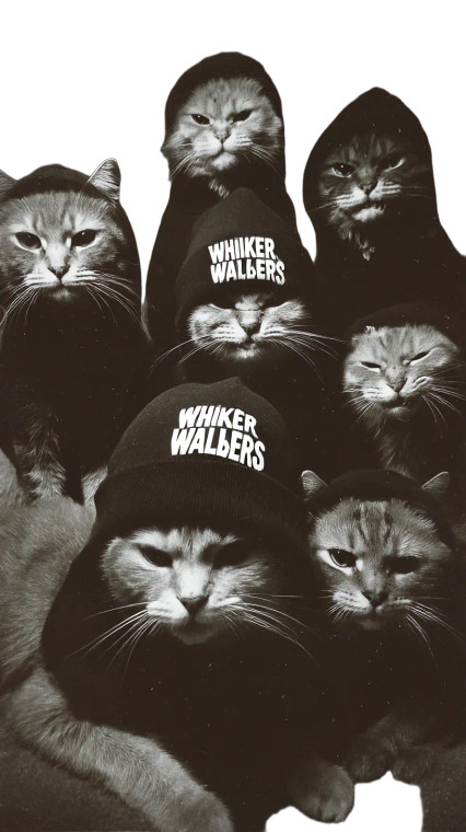 Whisker Wailers Vinyl Car Decal Sticker – Waterproof & UV-Resistant 8"