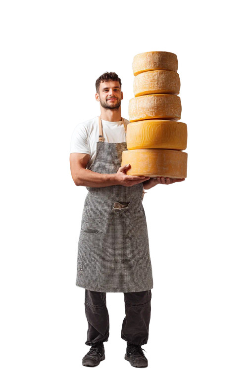 Cheese Demonstration Vinyl Car Decal Sticker – Waterproof & UV-Resistant 8"