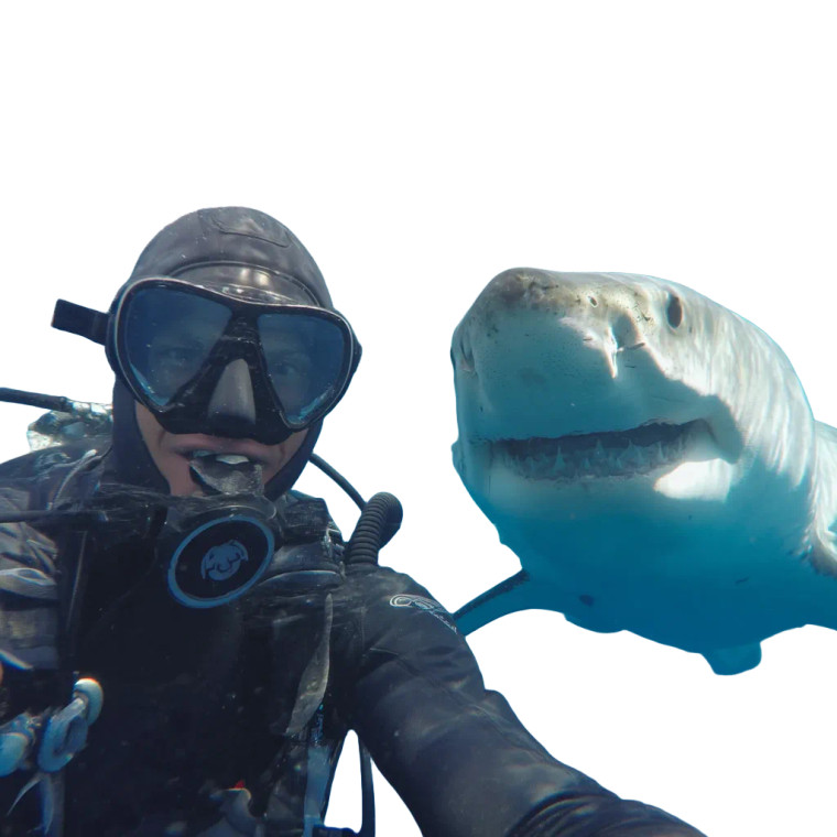 Diver Shark Selfie Vinyl Car Decal Sticker – Waterproof & UV-Resistant 8"