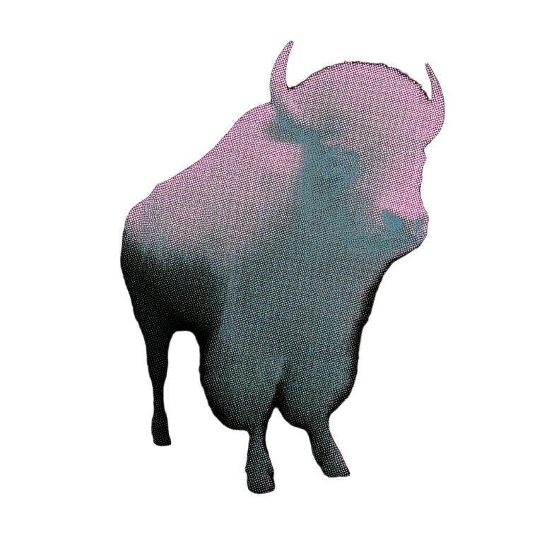 Buffalo Vinyl Car Decal Sticker – Waterproof & UV-Resistant 8"