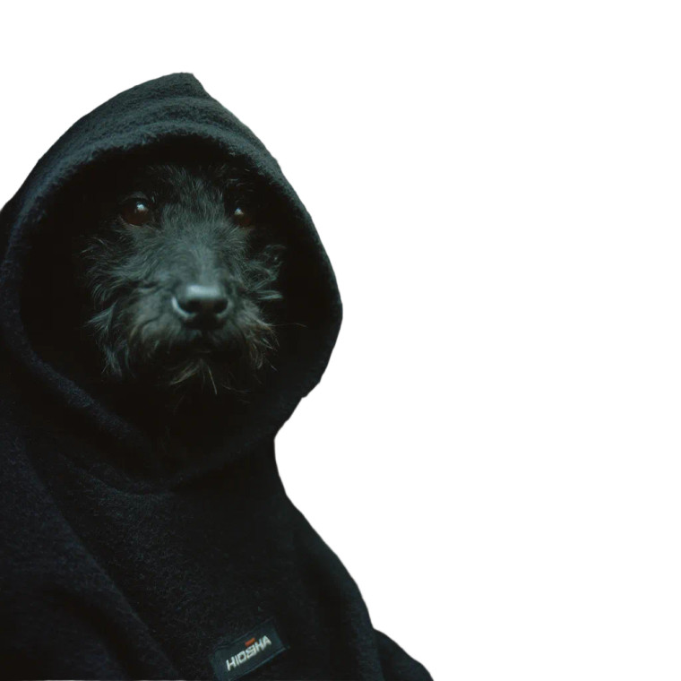 Angry Hoodied Terriers Vinyl Car Decal Sticker – Waterproof & UV-Resistant 8"