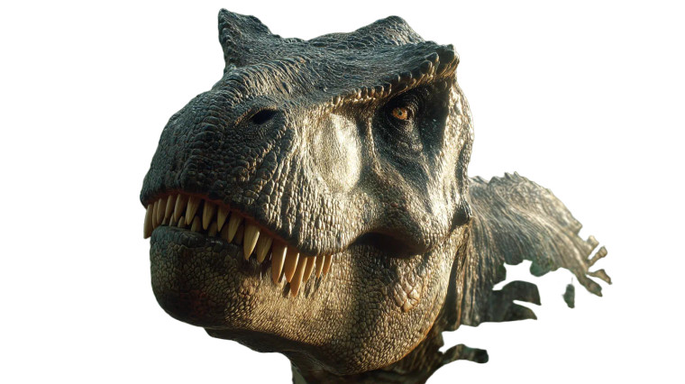 T-Rex Hunt Vinyl Car Decal Sticker – Waterproof & UV-Resistant 8"