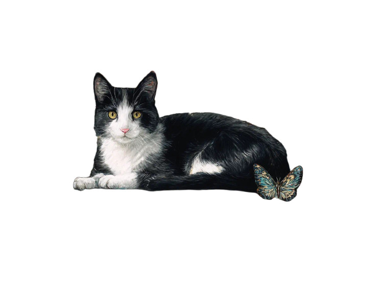 Tuxedo Cat Lounging Vinyl Car Decal Sticker – Waterproof & UV-Resistant 8"