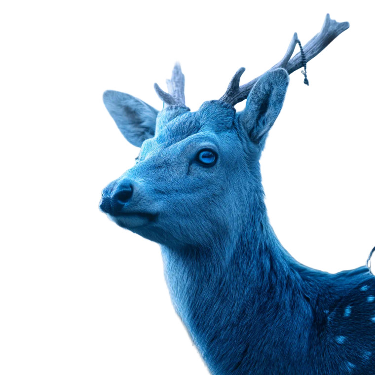 Blue Baby Deer Vinyl Car Decal Sticker – Waterproof & UV-Resistant 8"