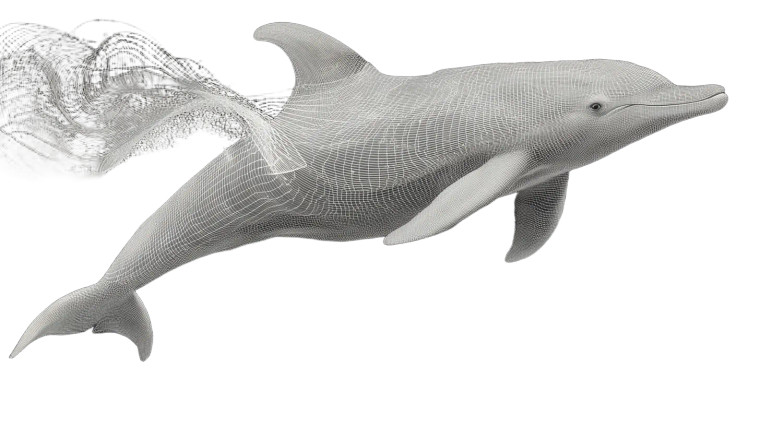 Dolphin Illustration Vinyl Car Decal Sticker – Waterproof & UV-Resistant 8"