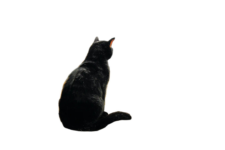 Hopper'S Lonely Cat Vinyl Car Decal Sticker – Waterproof & UV-Resistant 8"
