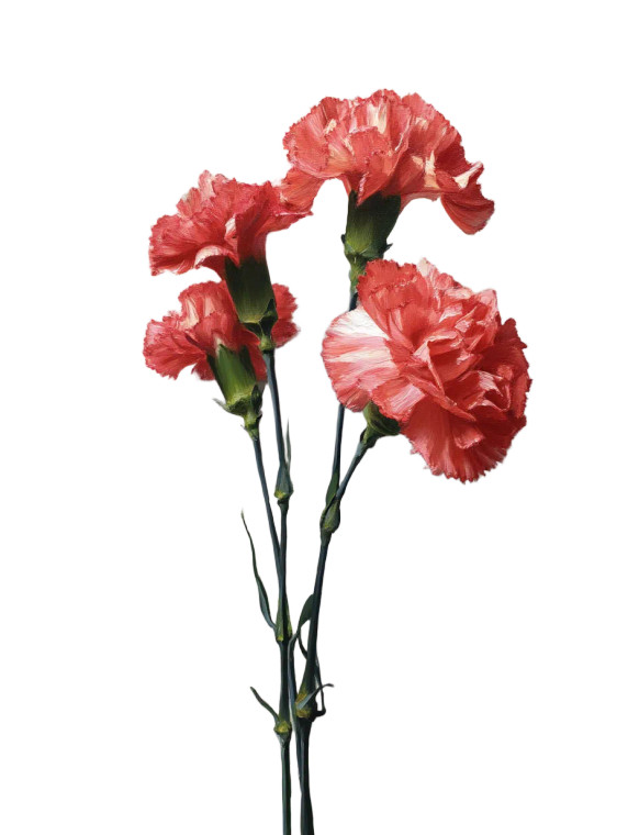 Casual Carnations Vinyl Car Decal Sticker – Waterproof & UV-Resistant 8"