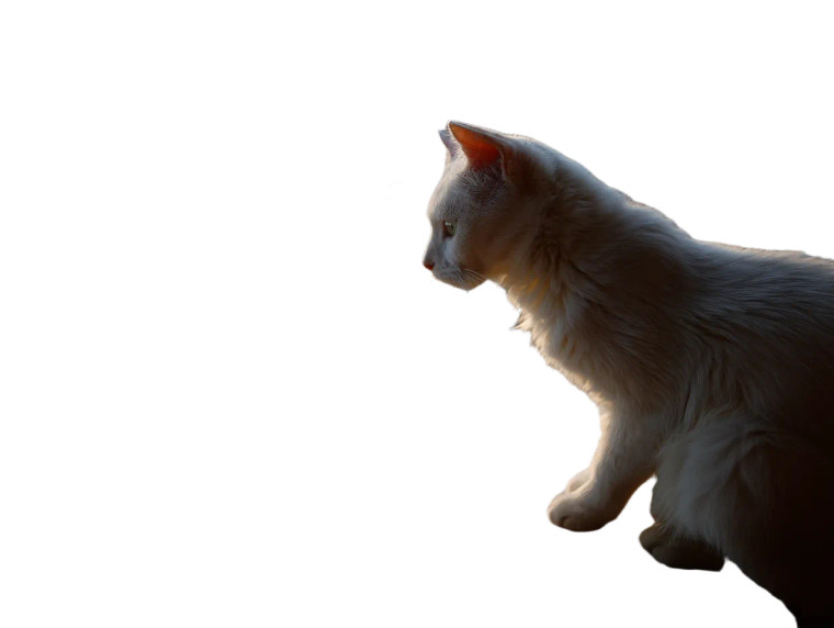 Cat On Balloon Vinyl Car Decal Sticker – Waterproof & UV-Resistant 8"