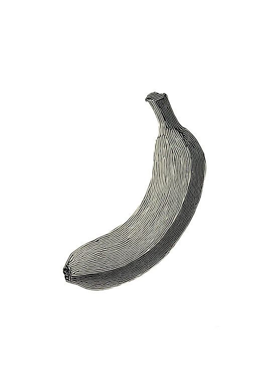 Abstract Banana Vinyl Car Decal Sticker – Waterproof & UV-Resistant 8"