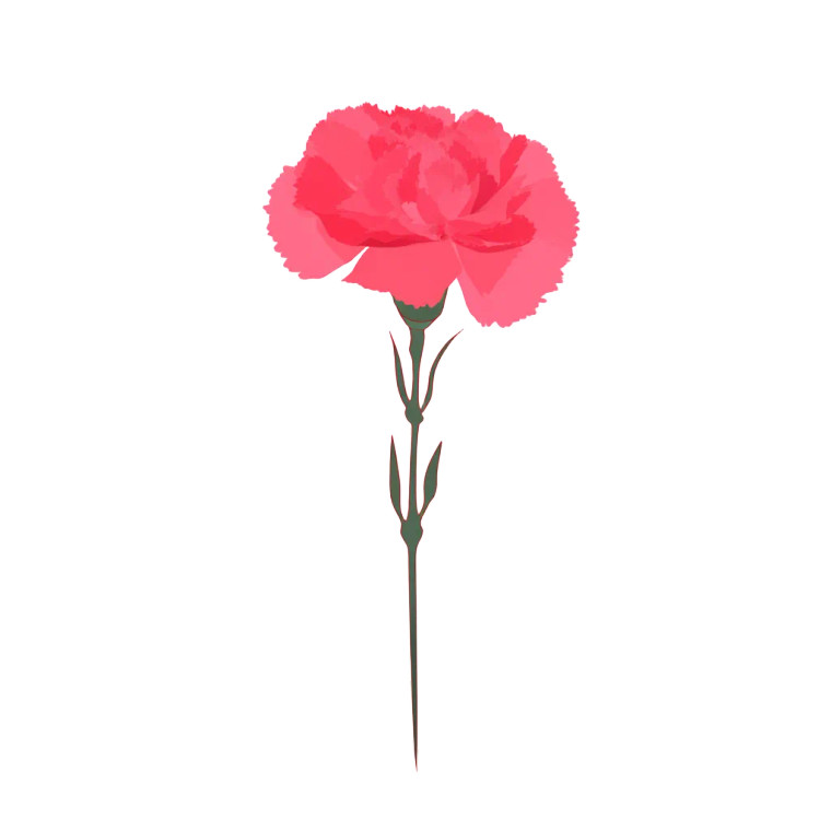 Carnation Vector Art Vinyl Car Decal Sticker – Waterproof & UV-Resistant 8"