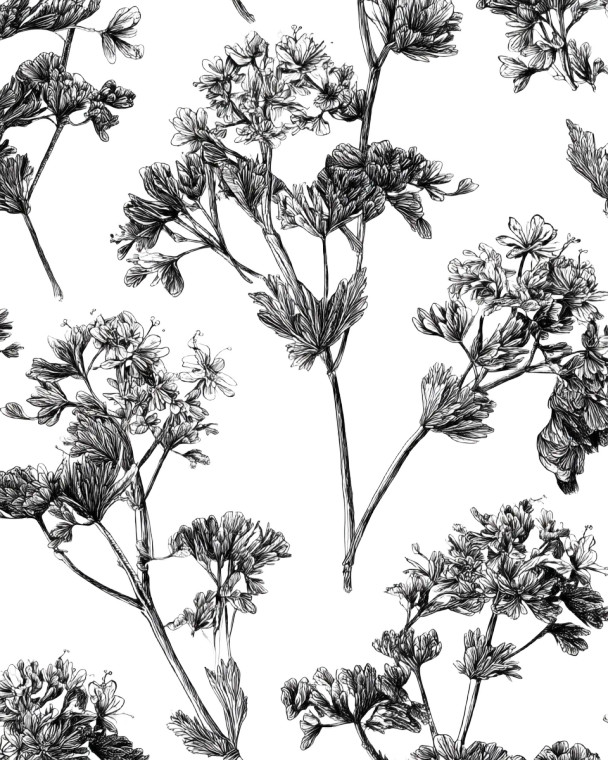 Botanical Illustrations Vinyl Car Decal Sticker – Waterproof & UV-Resistant 8"