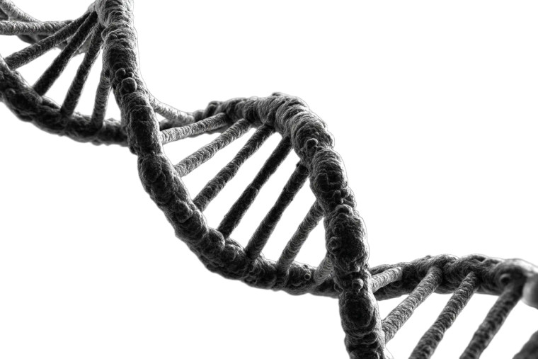 Dna Genetics Vinyl Car Decal Sticker – Waterproof & UV-Resistant 8"