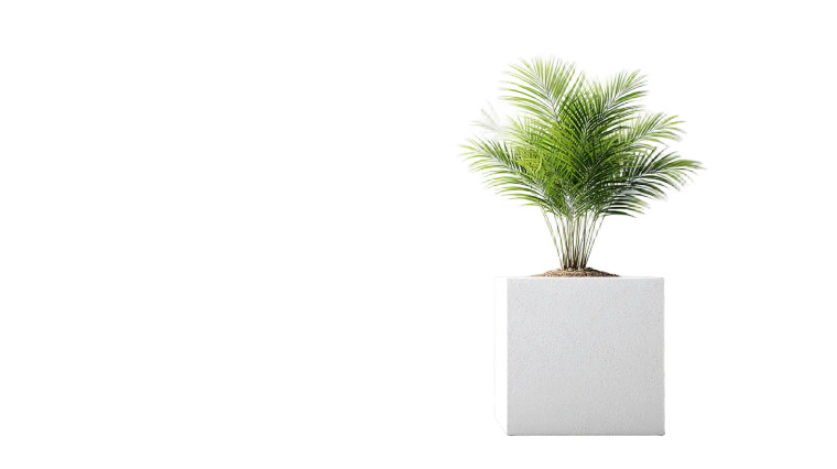 Exotic Plant Installation Vinyl Car Decal Sticker – Waterproof & UV-Resistant 8"