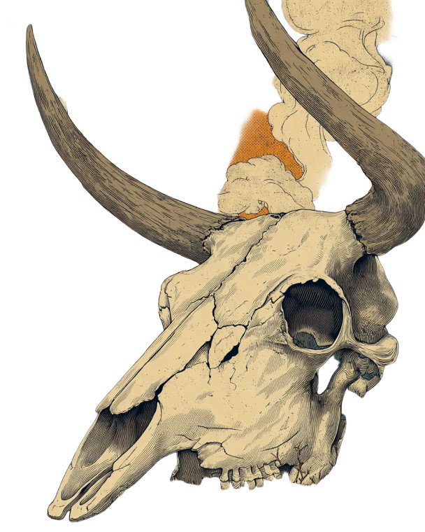 Bull Skull Smoke Vinyl Car Decal Sticker – Waterproof & UV-Resistant 8"