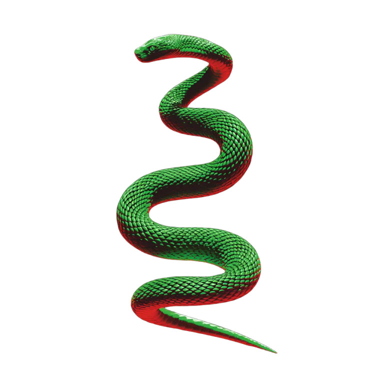 Neon Green Snake Vinyl Car Decal Sticker – Waterproof & UV-Resistant 8"