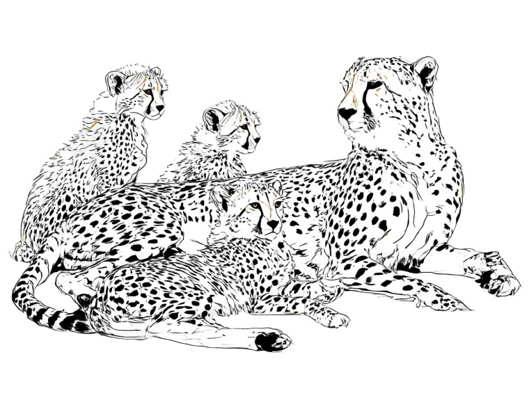 Cheetah With Cubs Vinyl Car Decal Sticker – Waterproof & UV-Resistant 8"