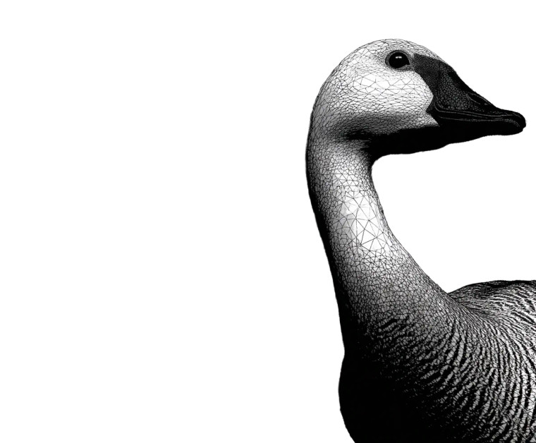 Fractal Banyan Bird Vinyl Car Decal Sticker – Waterproof & UV-Resistant 8"