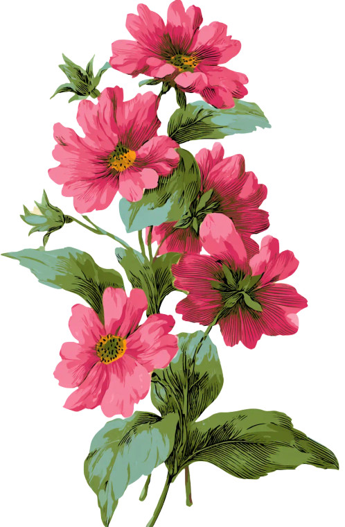 Pink Flowers Clipart Vinyl Car Decal Sticker – Waterproof & UV-Resistant 8"