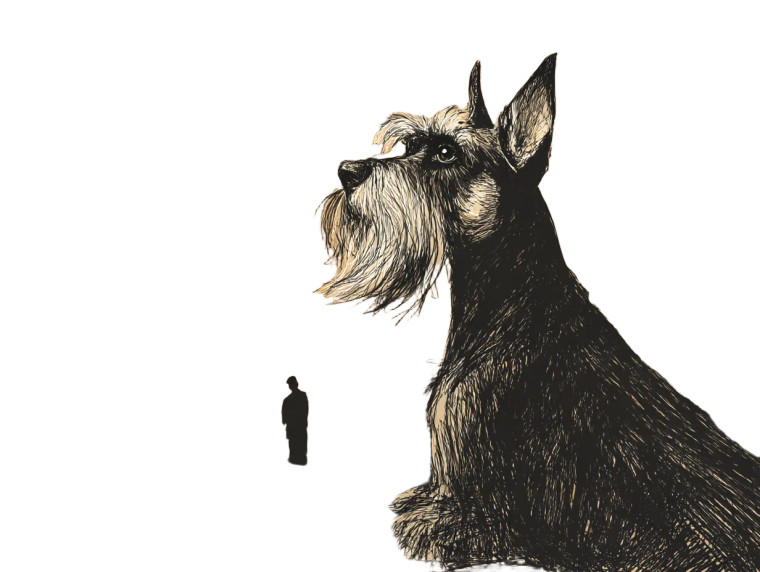 Scraggly Schnauzer Vinyl Car Decal Sticker – Waterproof & UV-Resistant 8"