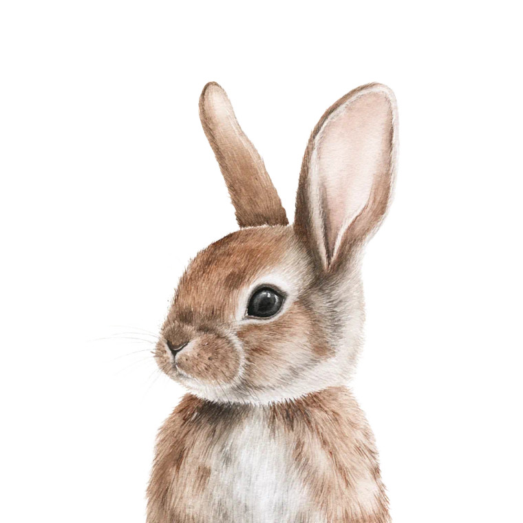 Gentle Brown Bunny Vinyl Car Decal Sticker – Waterproof & UV-Resistant 8"