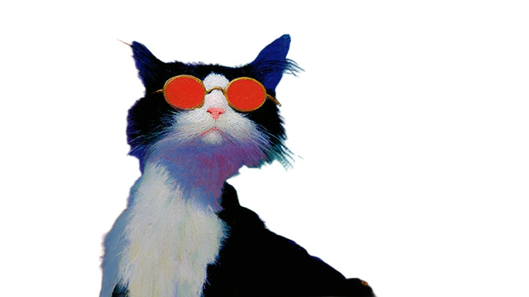 Pirate Cat Captain Vinyl Car Decal Sticker – Waterproof & UV-Resistant 8"