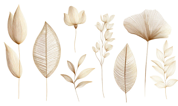 Botanical Minimalist Set Vinyl Car Decal Sticker – Waterproof & UV-Resistant 8"