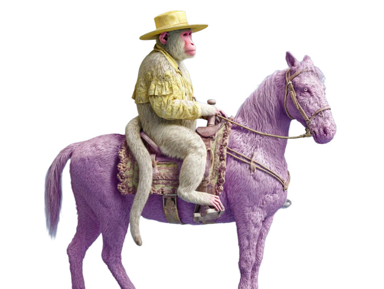Monkey On Horse Vinyl Car Decal Sticker – Waterproof & UV-Resistant 8"