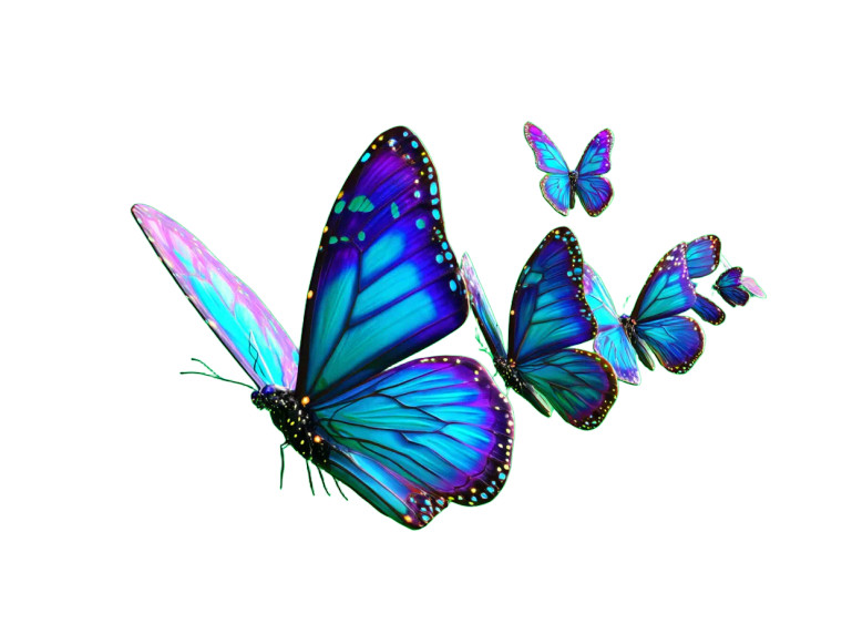 Graceful Blue Butterflies Vinyl Car Decal Sticker – Waterproof & UV-Resistant 8"